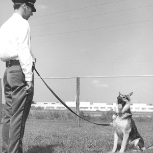 Archival photograph showing a UT Police officer with a canine dog