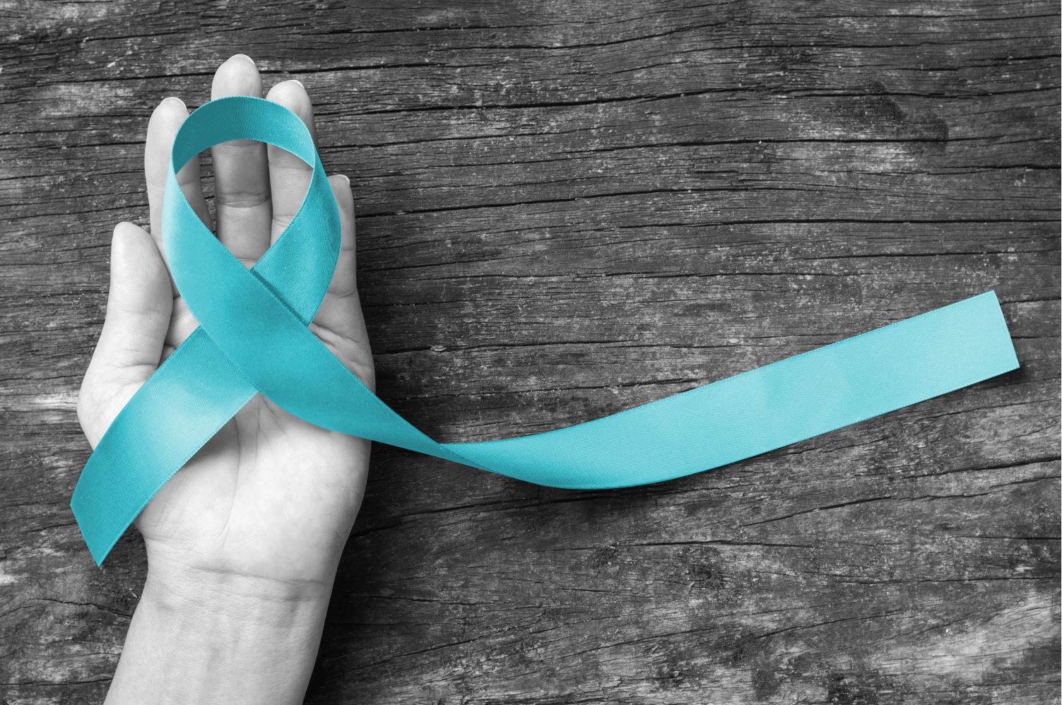 Grayscale image of a female hand with vivid Sexual Assault Awareness teal ribbon being held